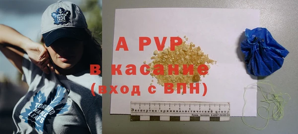 дмт Ельня
