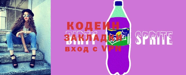 дмт Ельня