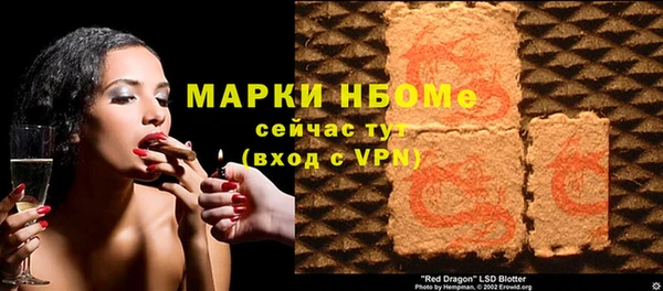 дмт Ельня