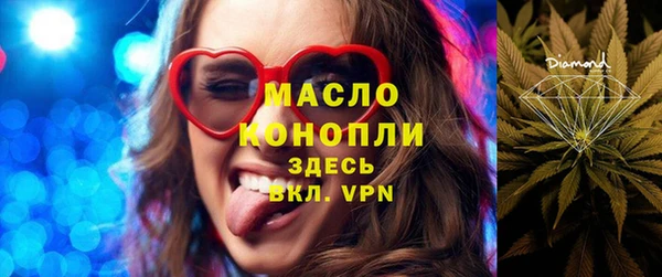 дмт Ельня