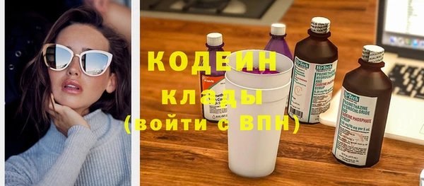 дмт Ельня