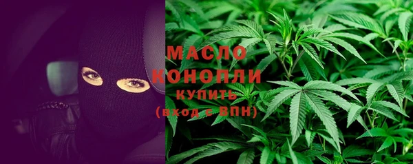 дмт Ельня
