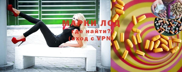 дмт Ельня