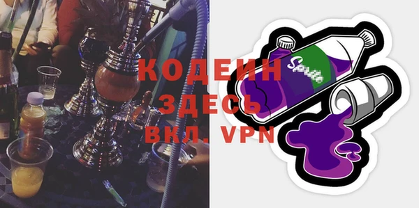 дмт Ельня