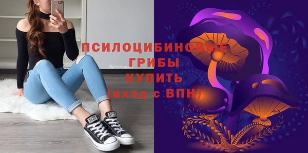 дмт Ельня